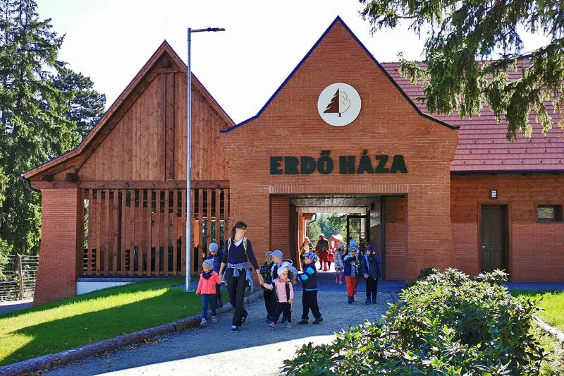 Programajánló részletek
