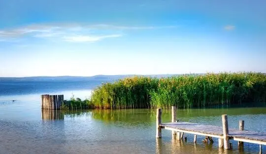 Fertő tó