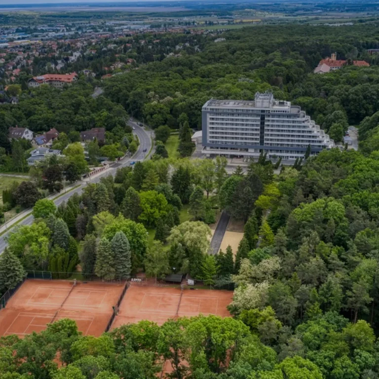 Edzőtáborok
