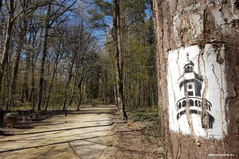 Várisi sétaút tanösvény